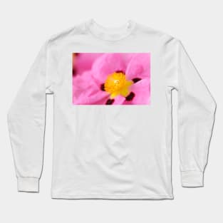 Cistus × purpureus   AGM  Purple-flowered rock rose Long Sleeve T-Shirt